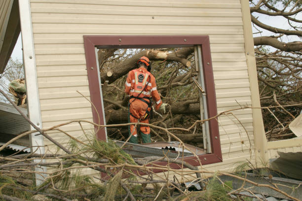 Best Tree and Shrub Care  in Winsted, MN